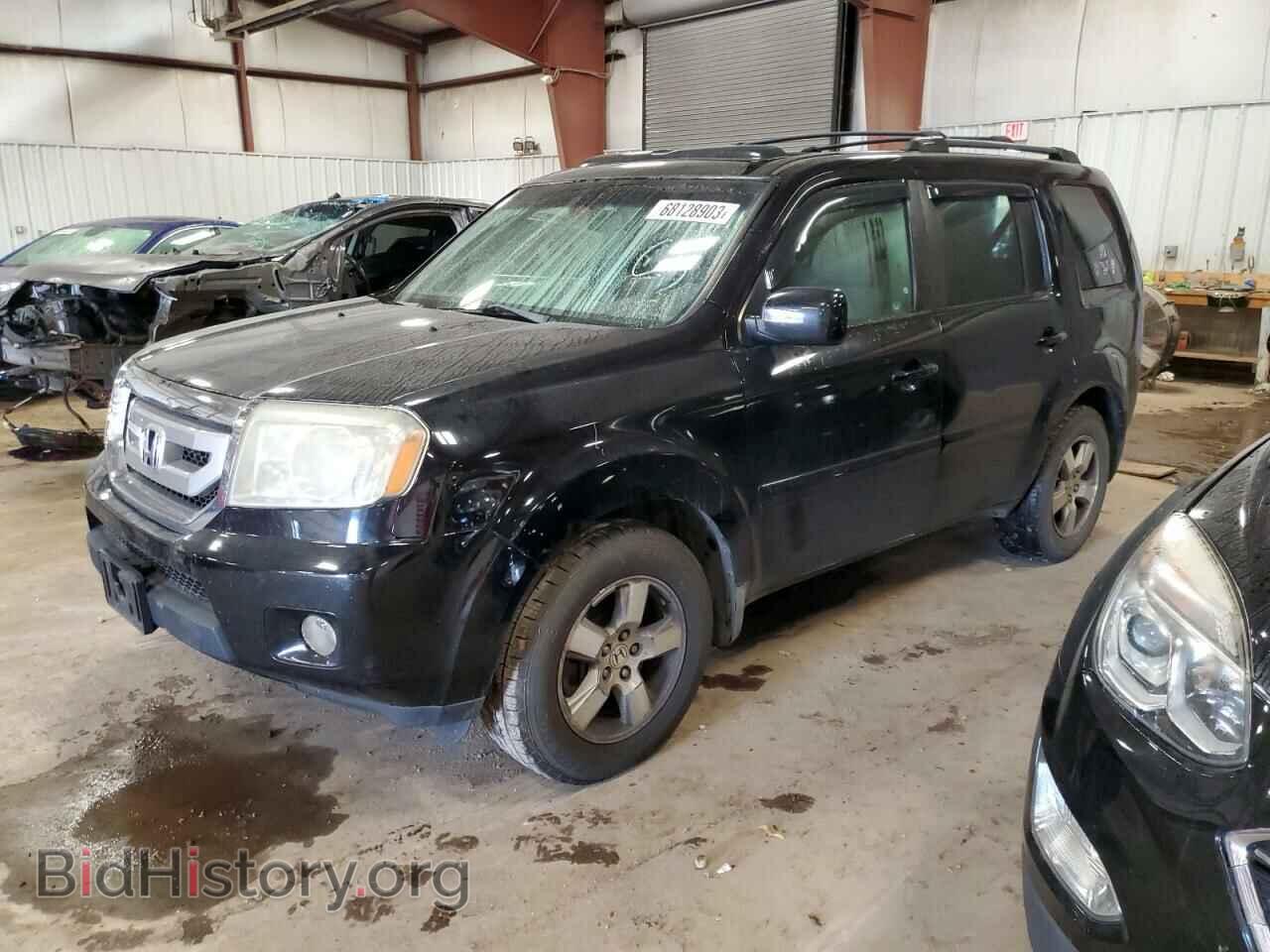 Фотография 5FNYF48559B500761 - HONDA PILOT 2009