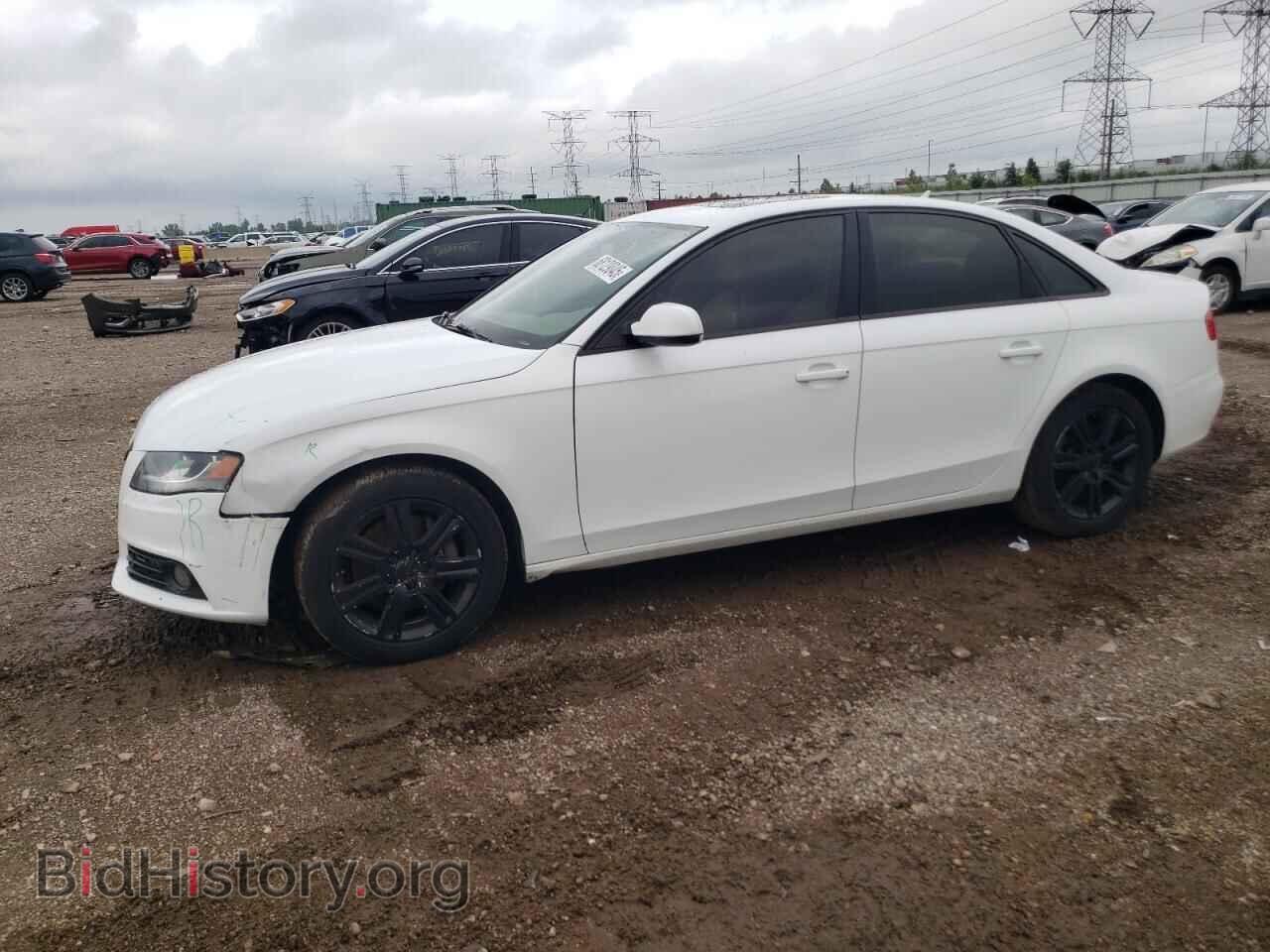 Photo WAUBFAFL8BN030803 - AUDI A4 2011