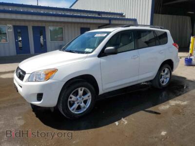 2011 Toyota RAV4, white — VIN 2T3BF4DV4BW119446, Copart