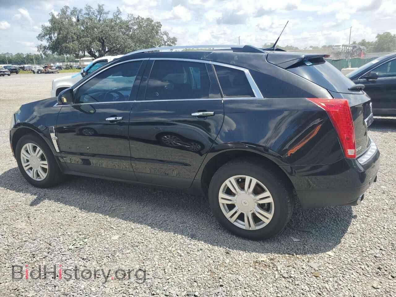 2011 CADILLAC SRX - VIN: 3GYFNAEY5BS645071 - Фото 2