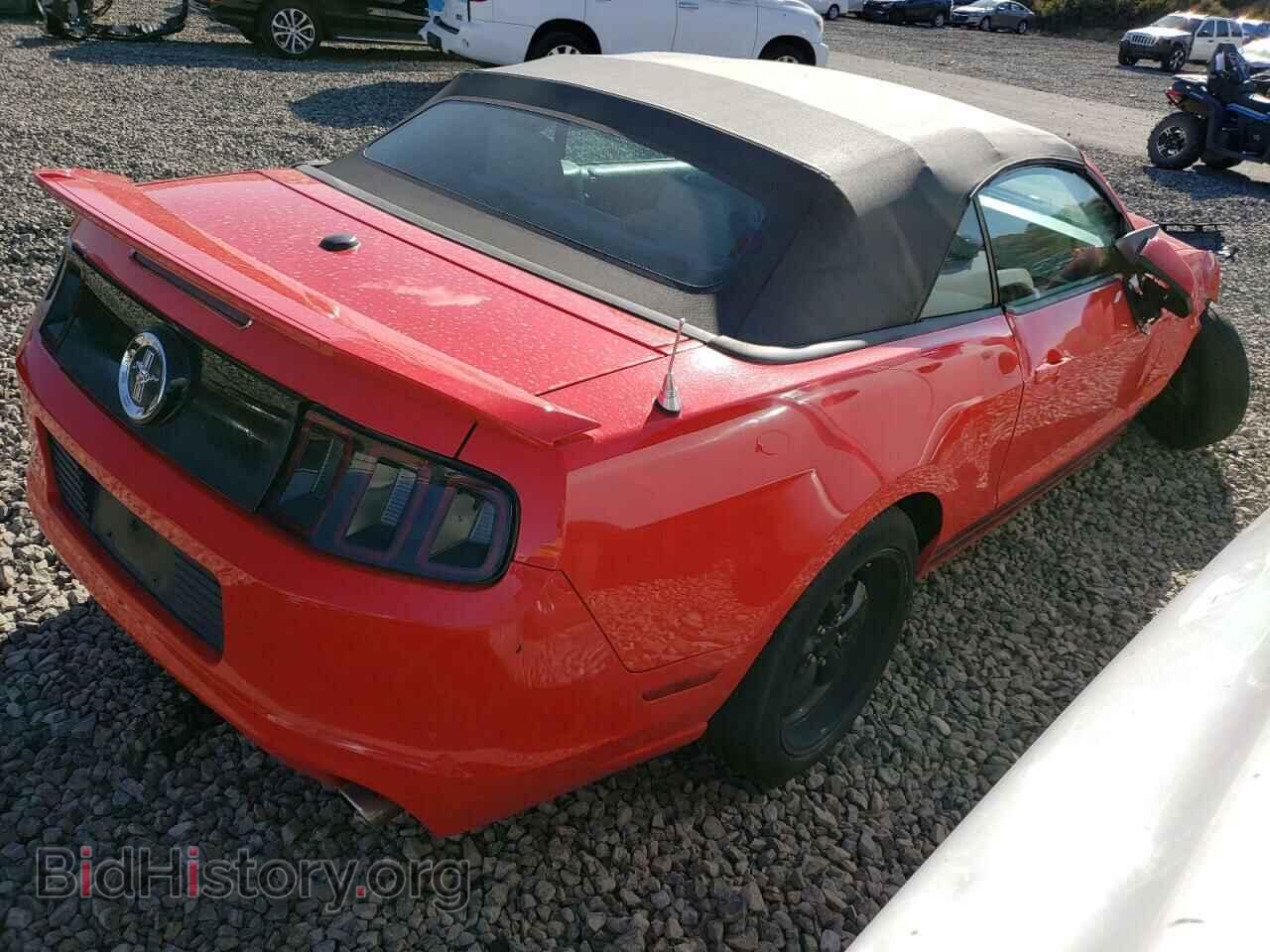 2013 FORD ALL Models - VIN: 1ZVBP8EM5D5233988 - Фото 3