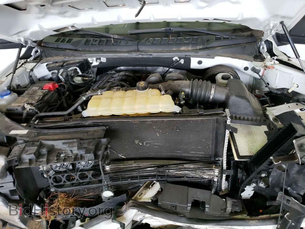 2019 FORD All Models - VIN: 1FTMF1CB1KKD33186 - Фото 11