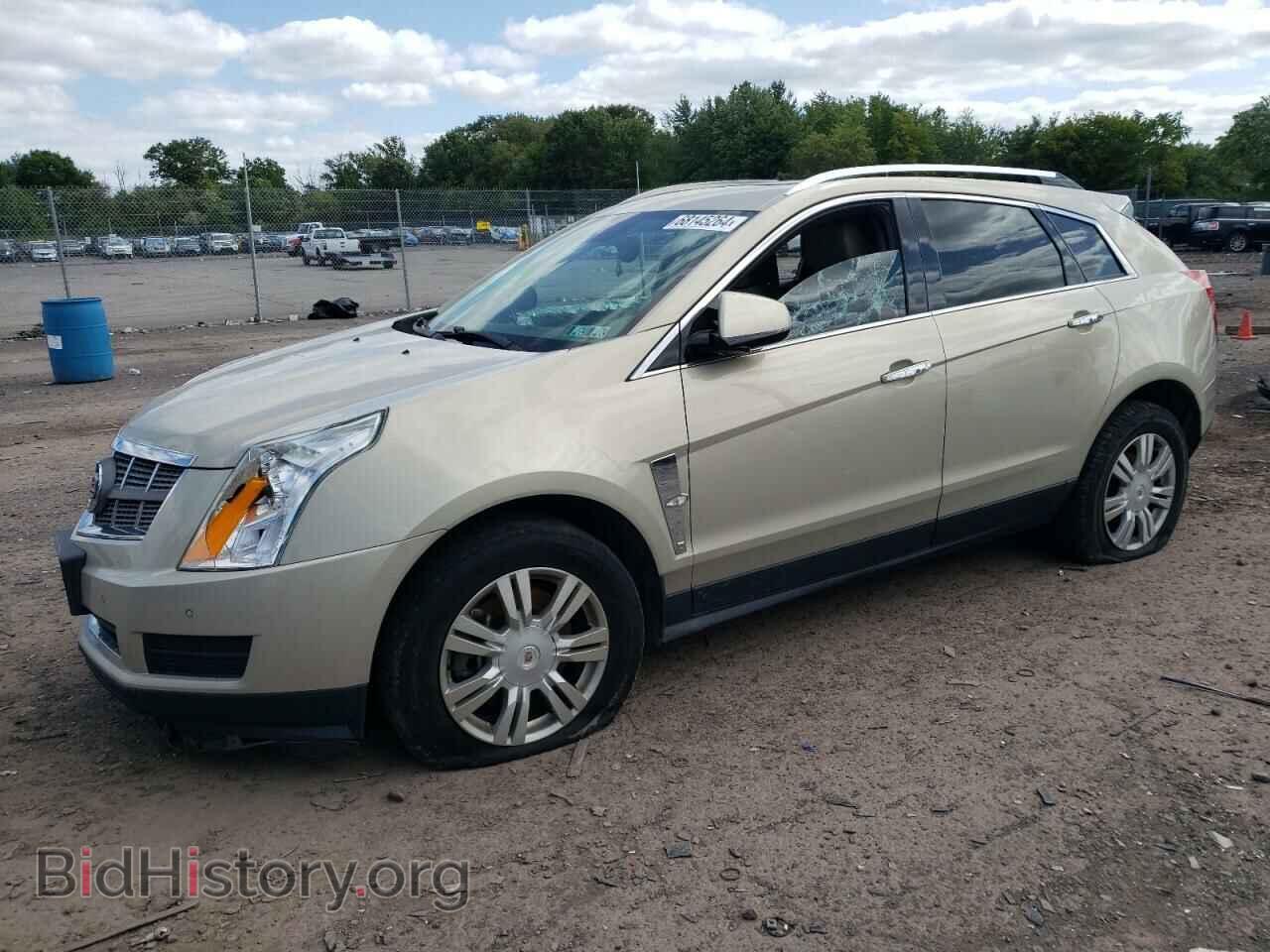 Photo 3GYFNAEY5AS555904 - CADILLAC SRX 2010