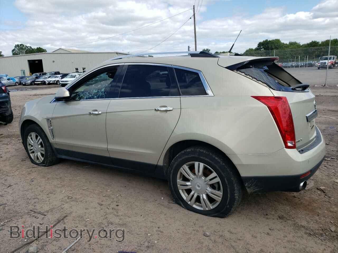 2010 CADILLAC SRX - VIN: 3GYFNAEY5AS555904 - Фото 2