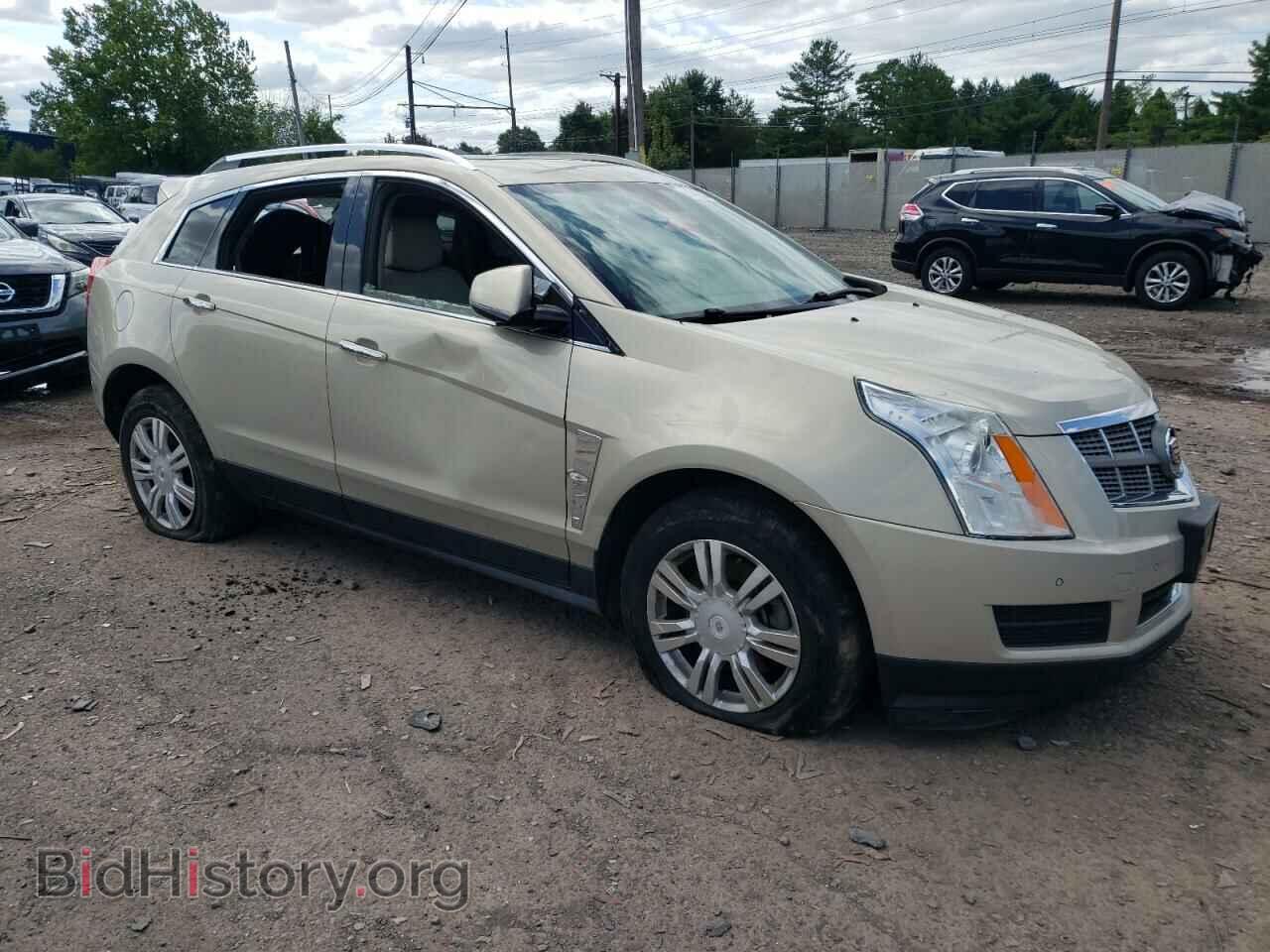2010 CADILLAC SRX - VIN: 3GYFNAEY5AS555904 - Фото 4