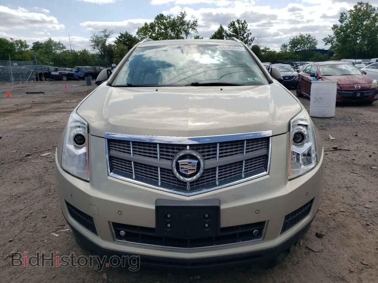 2010 CADILLAC SRX - VIN: 3GYFNAEY5AS555904 - Фото 5