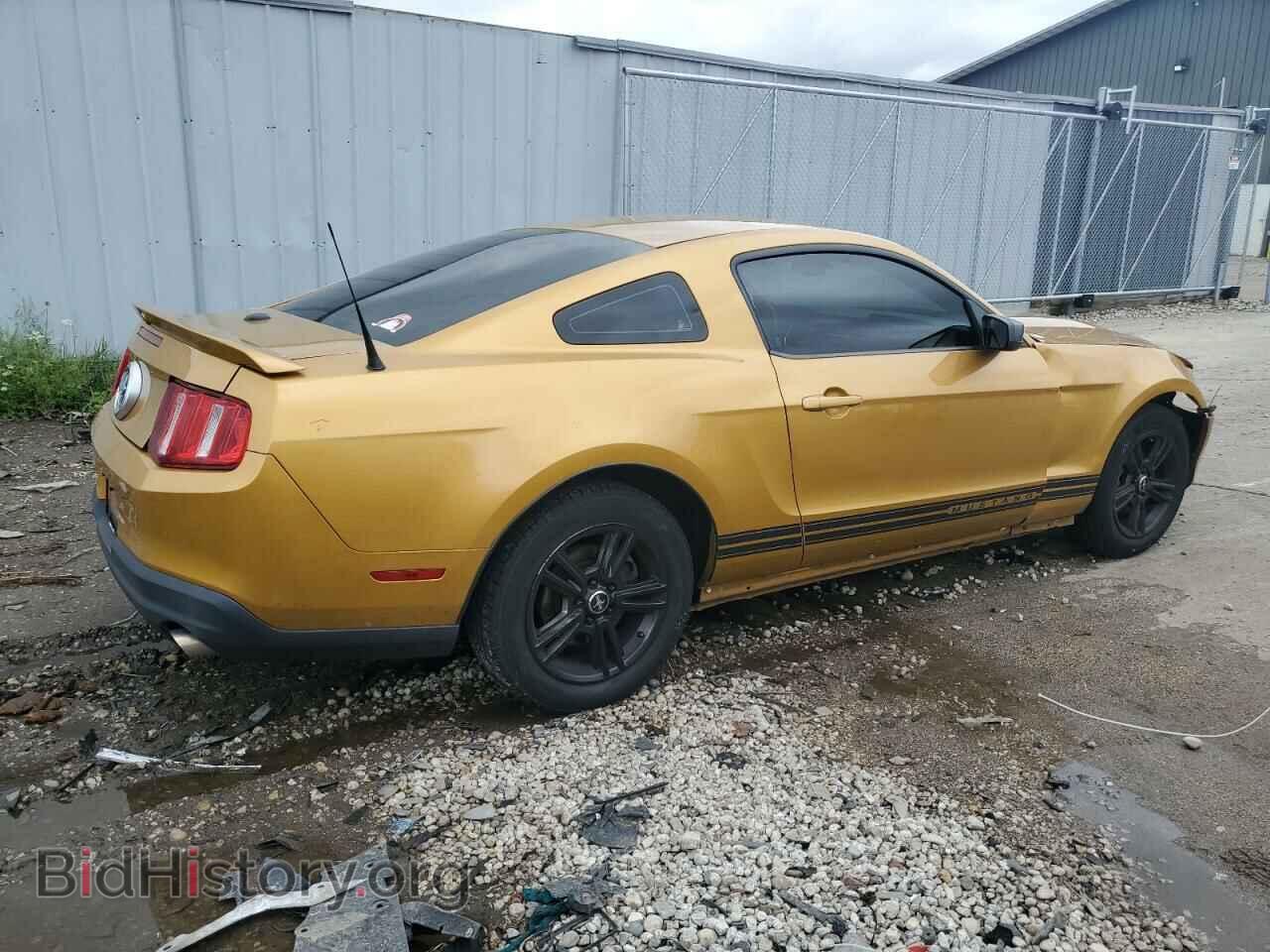 2010 FORD ALL Models - VIN: 1ZVBP8AN9A5116845 - Фото 3