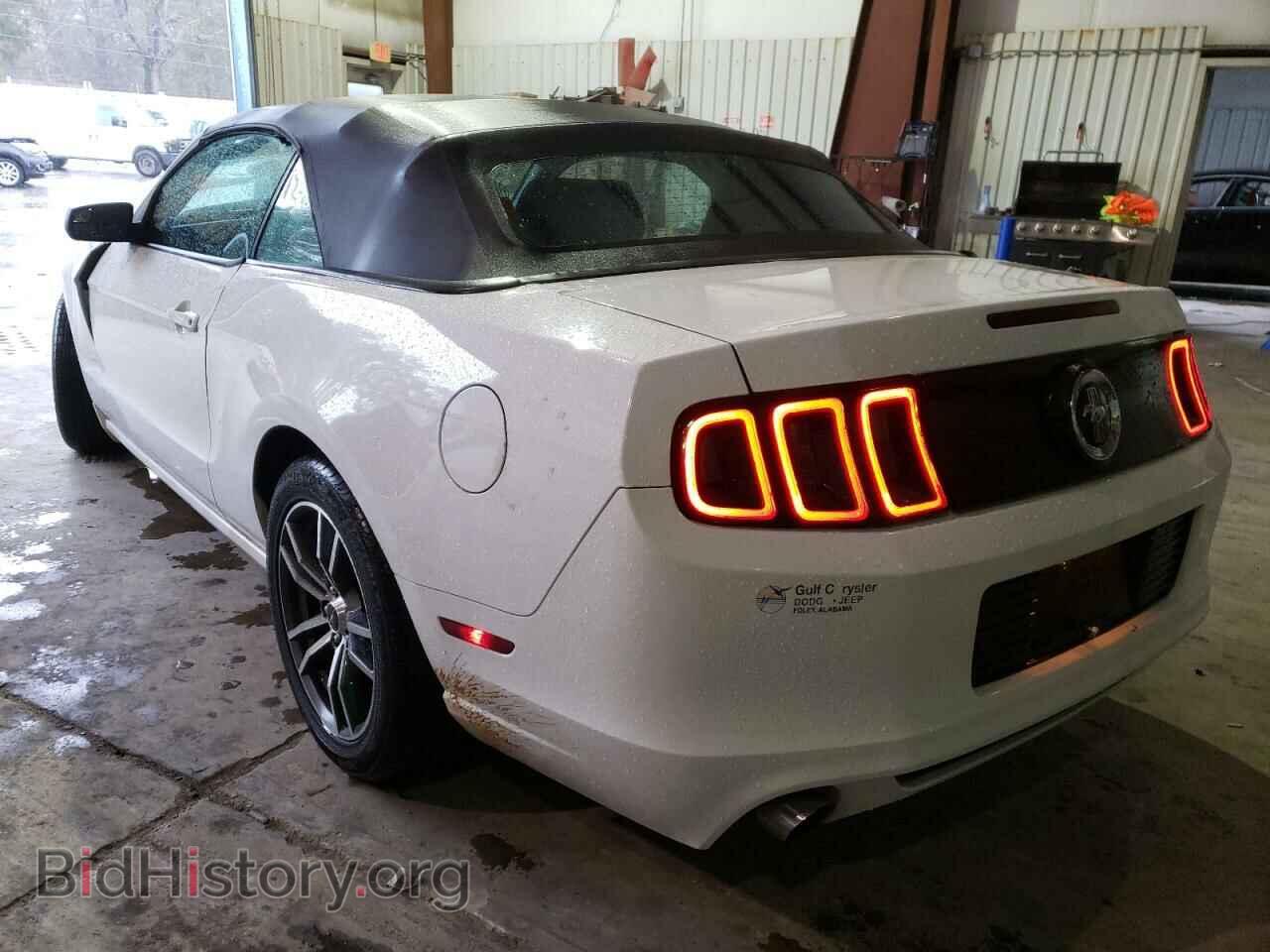 2014 FORD MUSTANG - VIN: 1ZVBP8EM8E5266677 - Фото 3