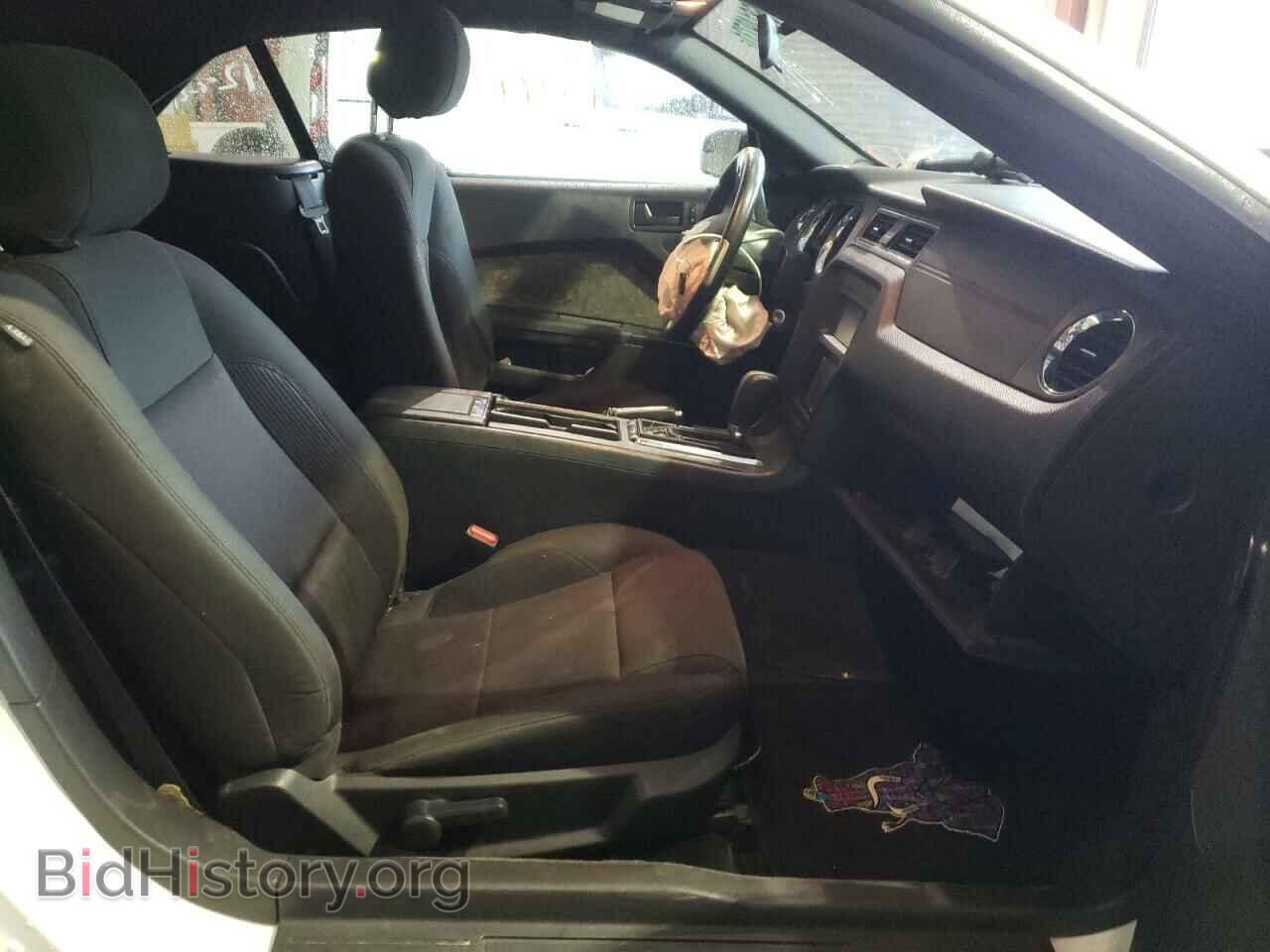 2014 FORD MUSTANG - VIN: 1ZVBP8EM8E5266677 - Фото 5