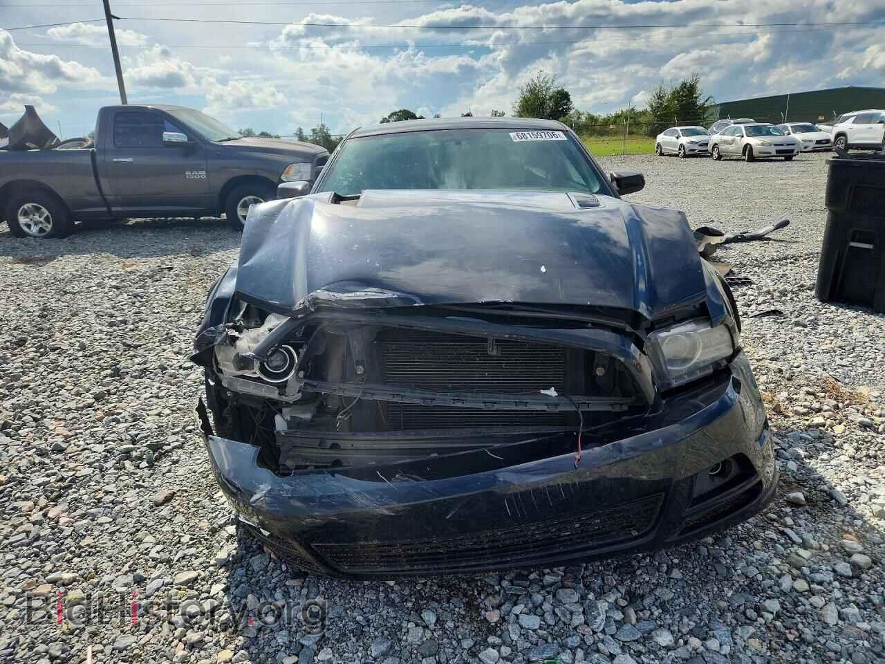 2014 FORD MUSTANG - VIN: 1ZVBP8CF1E5216420 - Фото 5