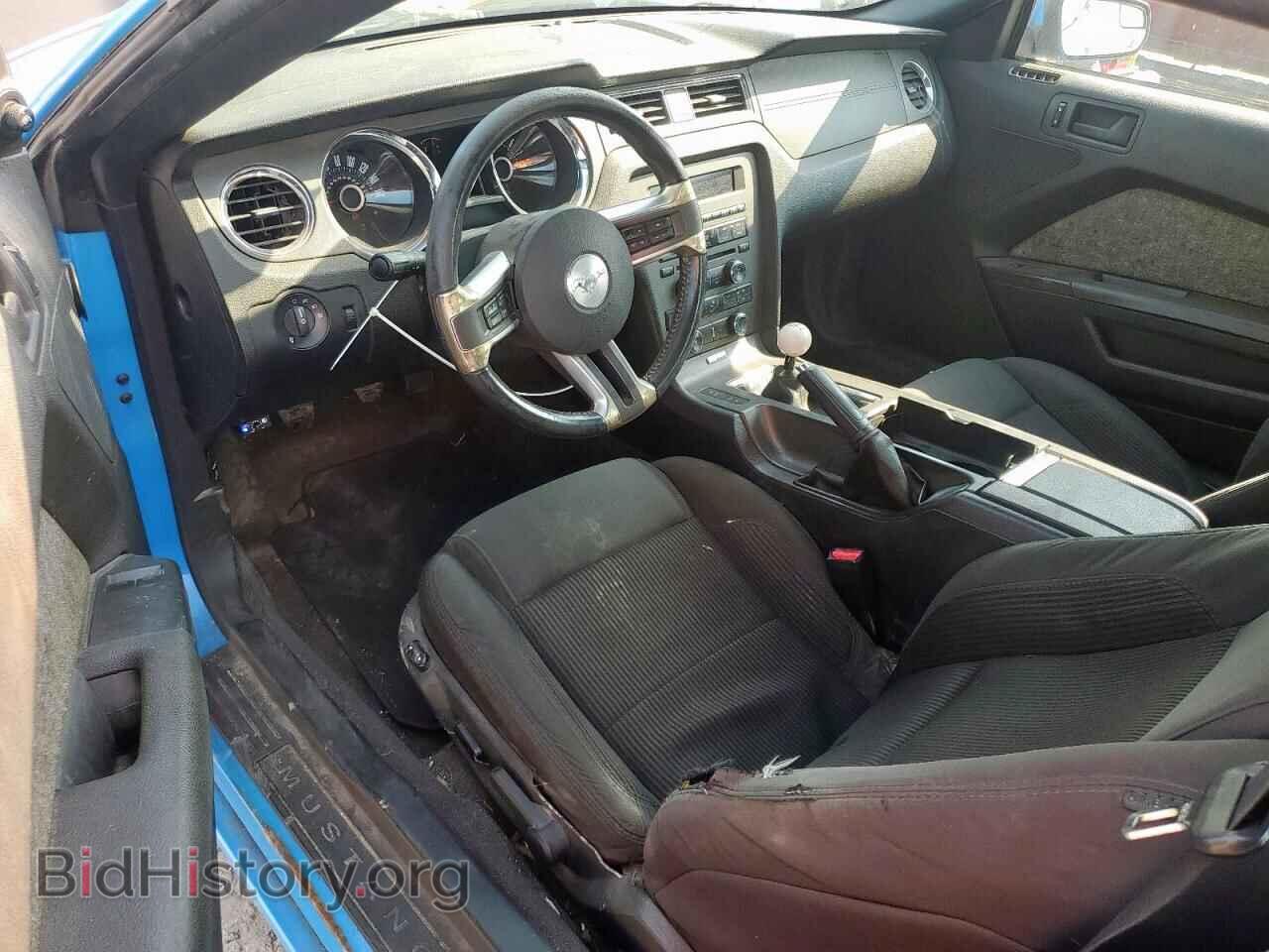 2013 FORD MUSTANG - VIN: 1ZVBP8CF0D5248810 - Фото 8