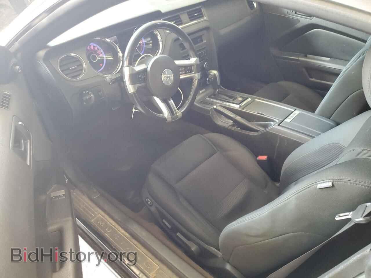 2013 FORD ALL Models - VIN: 1ZVBP8AM8D5278199 - Фото 8