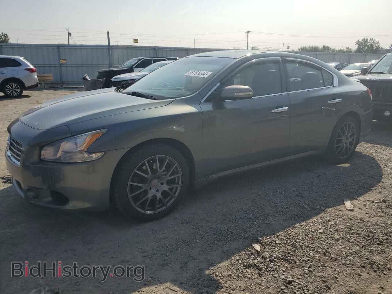Photo 1N4AA5AP5AC815956 - NISSAN MAXIMA 2010