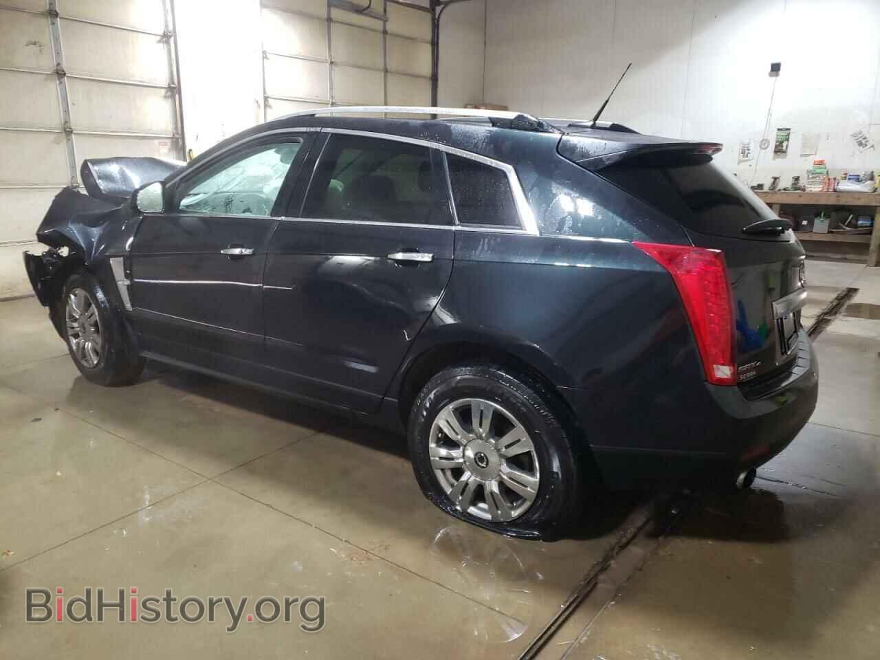 2011 CADILLAC SRX - VIN: 3GYFNDEY3BS570744 - Фото 2