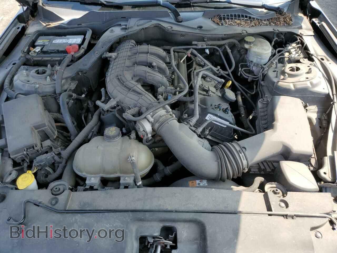 2015 FORD ALL Models - VIN: 1FA6P8AM6F5342558 - Фото 11
