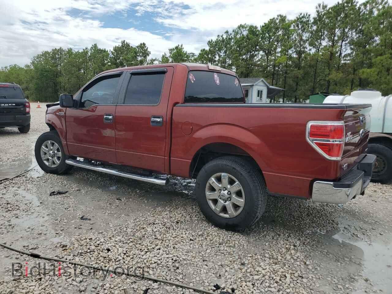 2014 FORD F-150 - VIN: 1FTFW1CF7EKD50784 - Фото 2