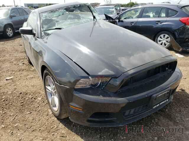 Photo 1ZVBP8AM1D5258697 - FORD MUSTANG 2013
