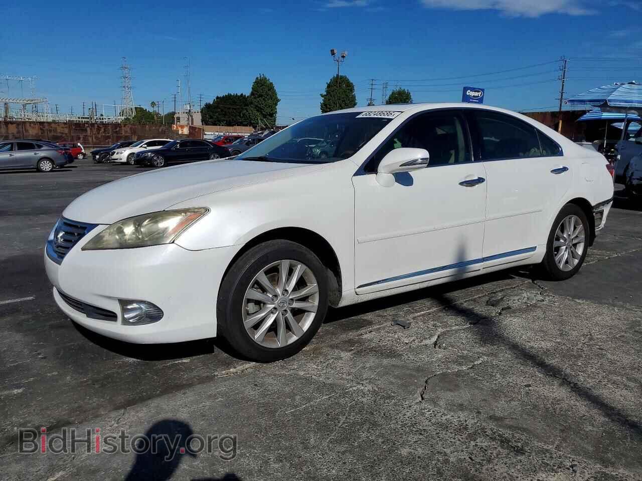 Фотография JTHBK1EGXA2387837 - LEXUS ES350 2010