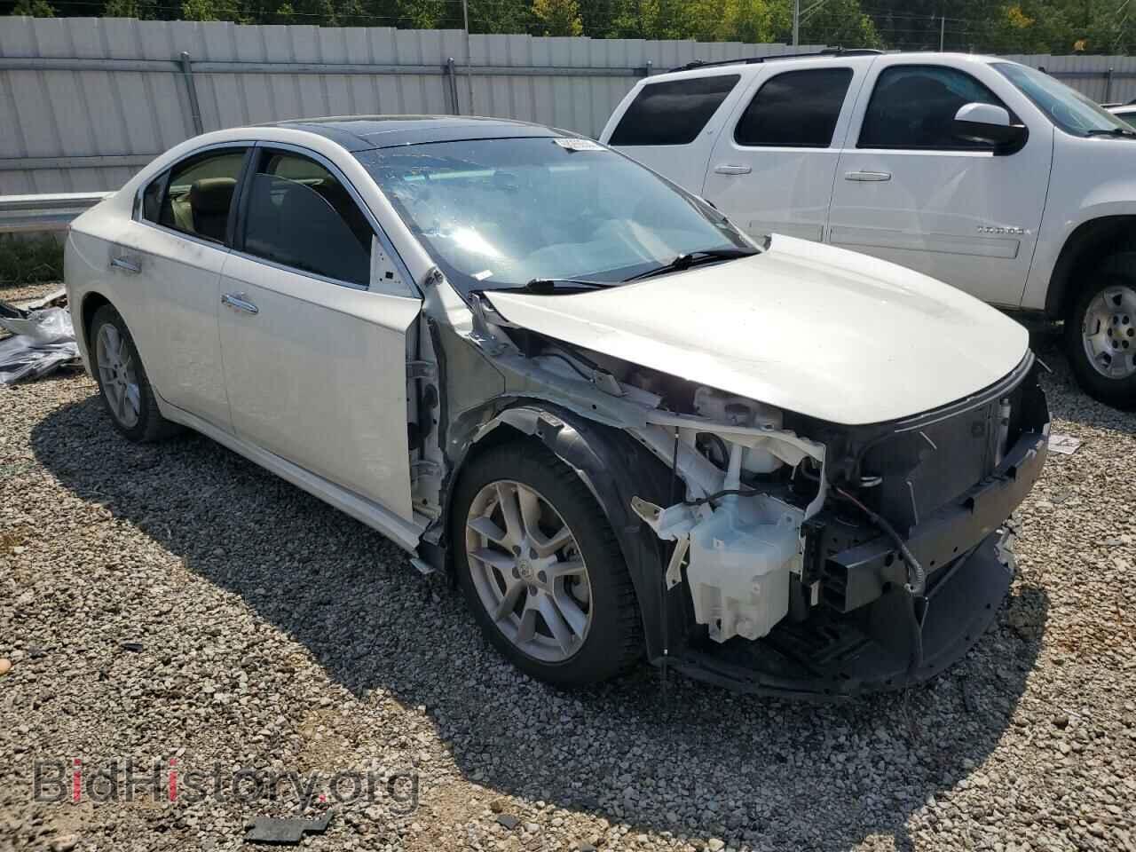 2010 NISSAN MAXIMA - VIN: 1N4AA5AP1AC828896 - Фото 4