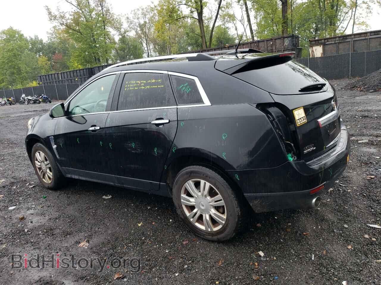 2011 CADILLAC SRX - VIN: 3GYFNDEY0BS540133 - Фото 2