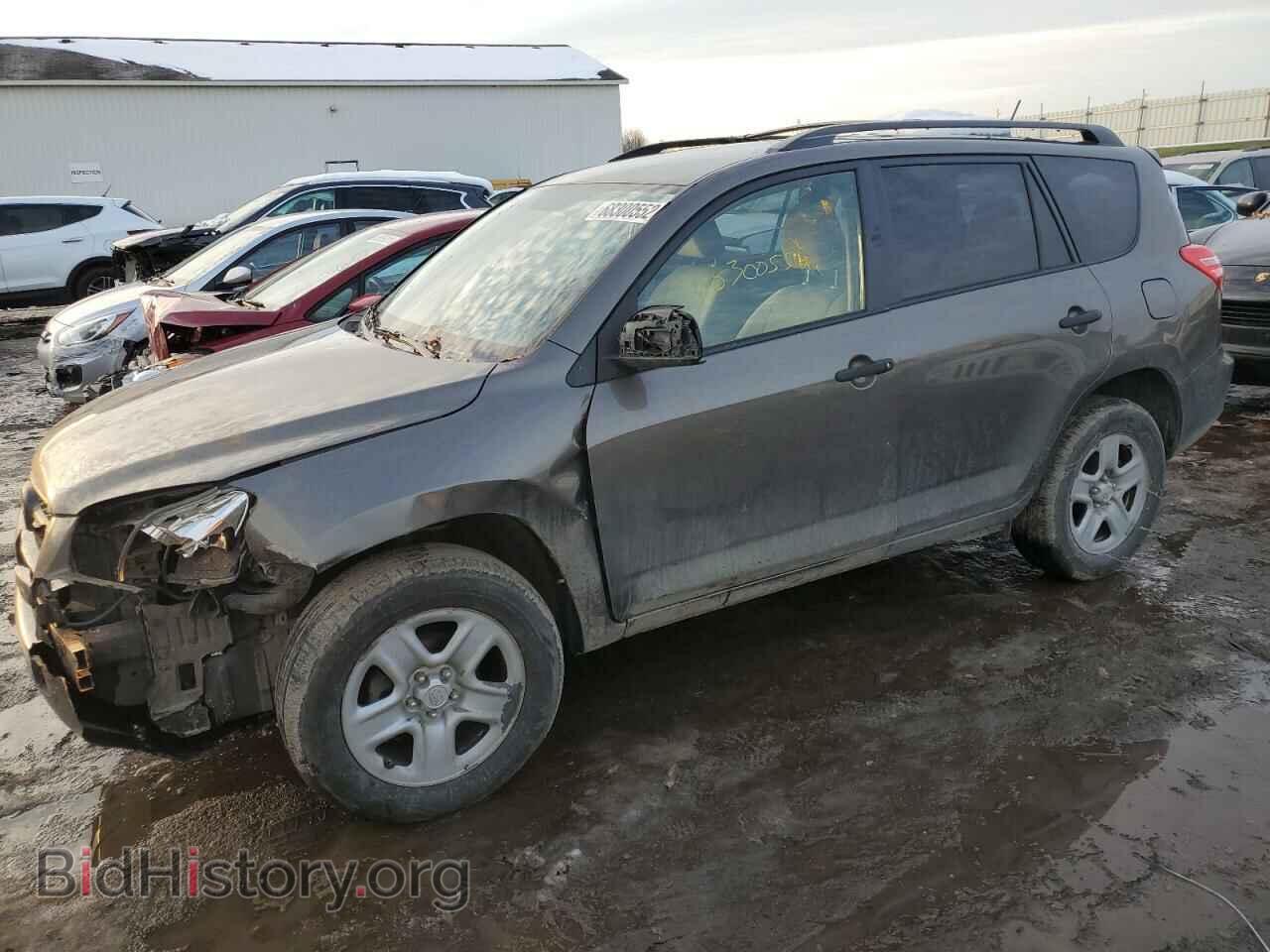 Photo 2T3BF4DV7BW169175 - TOYOTA RAV4 2011