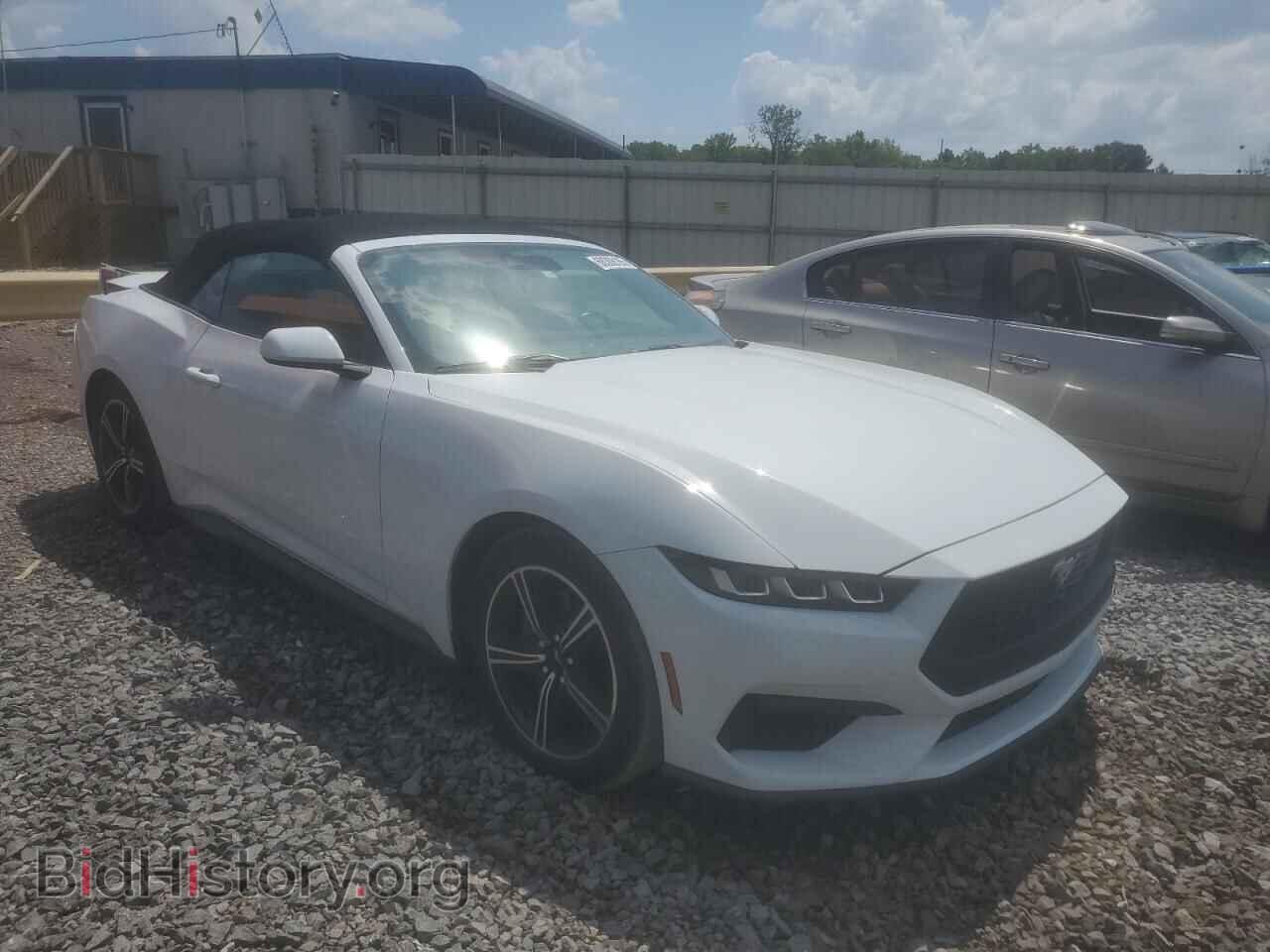 2024 FORD ALL Models - VIN: 1FAGP8UH5R5117264 - Фото 4