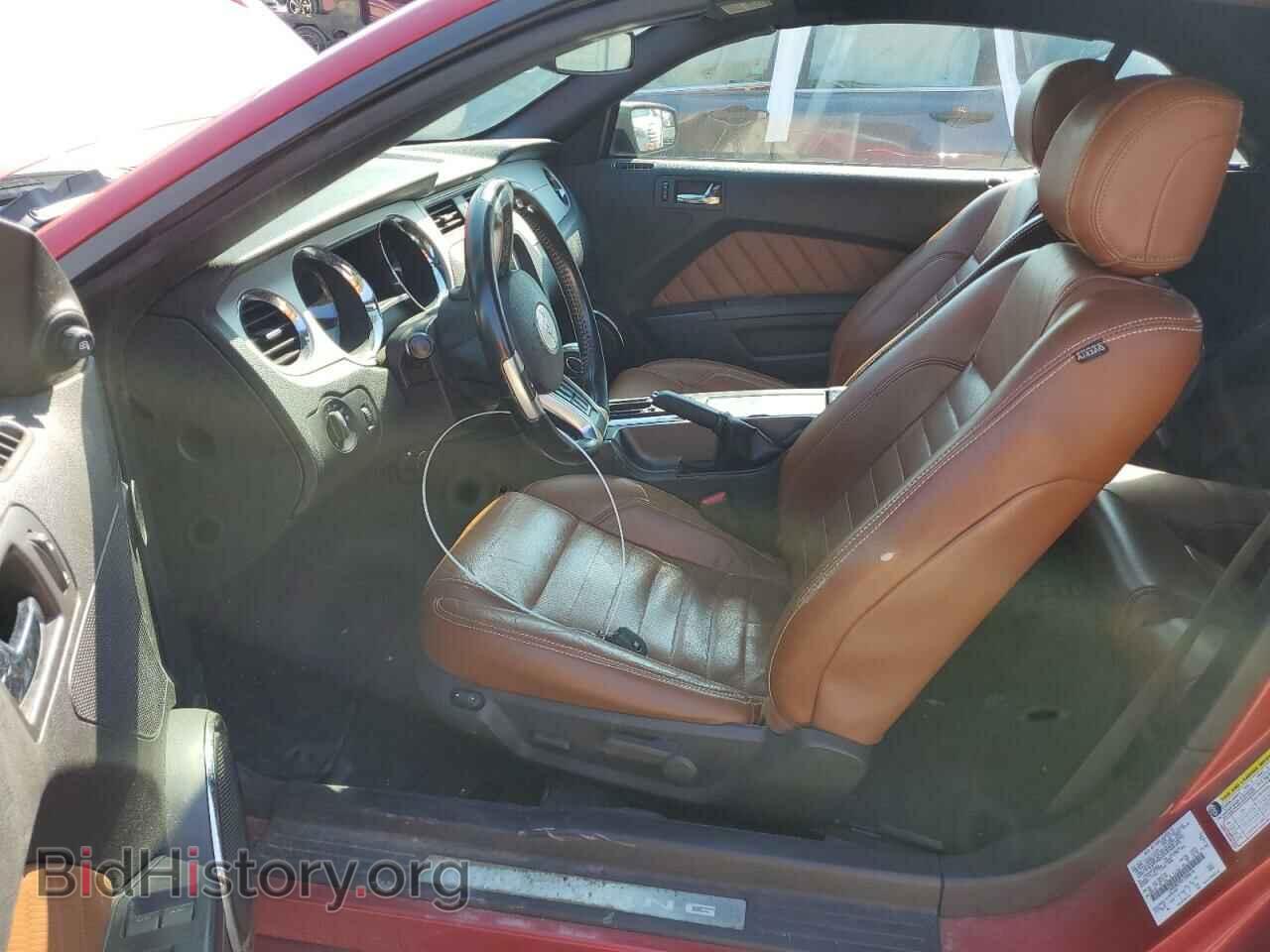 2013 FORD MUSTANG - VIN: 1ZVBP8FF8D5208616 - Фото 7