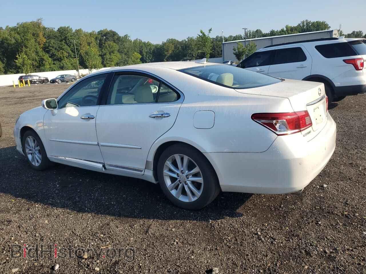 2010 LEXUS ES350 - VIN: JTHBK1EG9A2410380 - Фото 2
