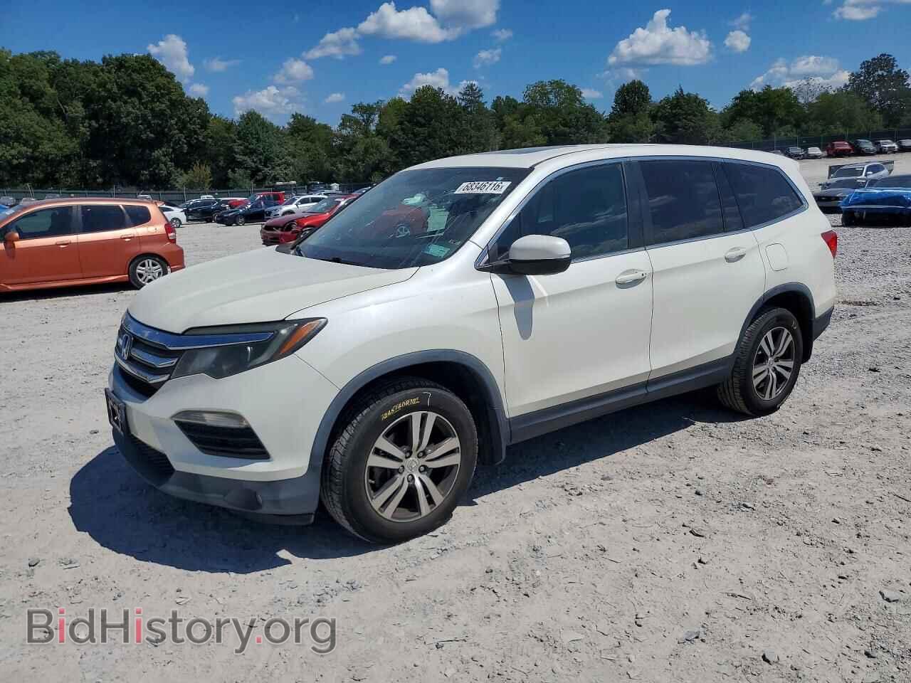 Photo 5FNYF6H59HB036576 - HONDA PILOT 2017