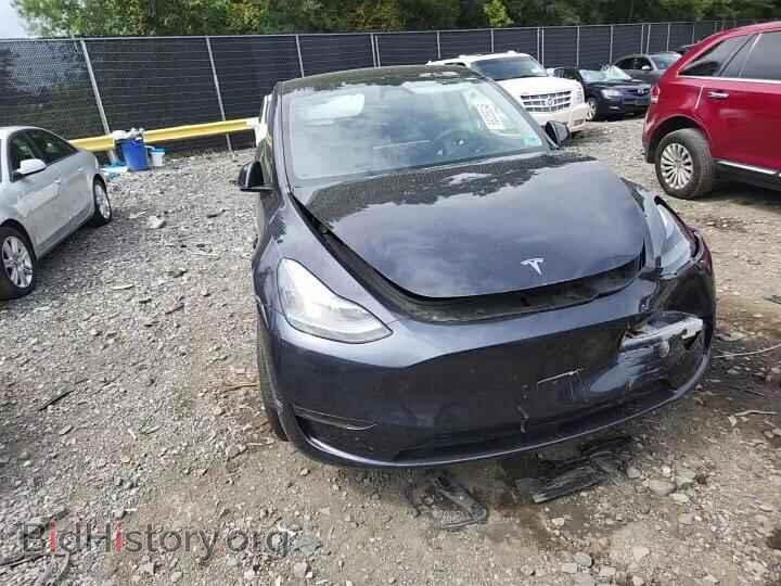 2024 TESLA MODEL Y - VIN: 7SAYGDED3RF162871 - Фото 14