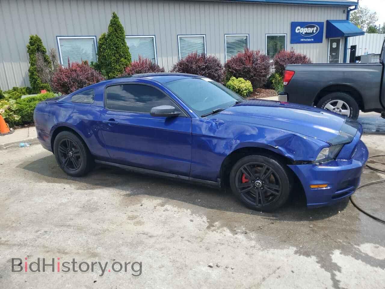 2013 FORD ALL Models - VIN: 1ZVBP8AM1D5212450 - Фото 4