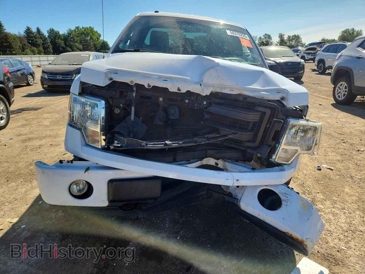 2013 FORD F150 - VIN: 1FTMF1EF7DFA13009 - Photo 5