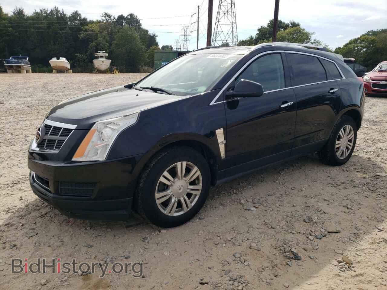 Фотография 3GYFNDE31CS642871 - CADILLAC SRX 2012
