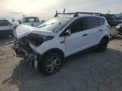 2019 Ford ESCAPE SE, white — VIN 1FMCU0GD5KUC36807, Copart