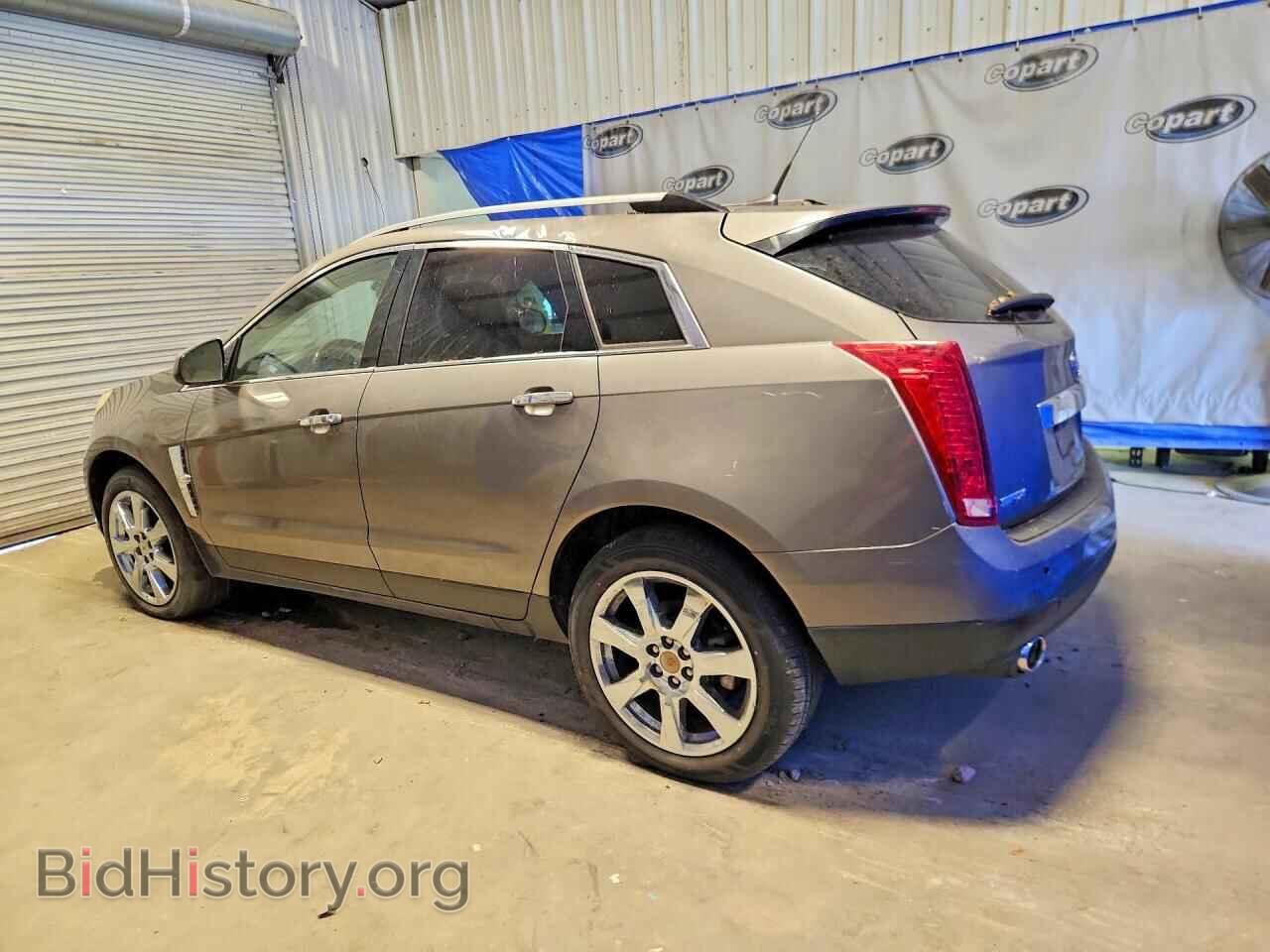 2011 CADILLAC SRX - VIN: 3GYFNCEY6BS674476 - Фото 2