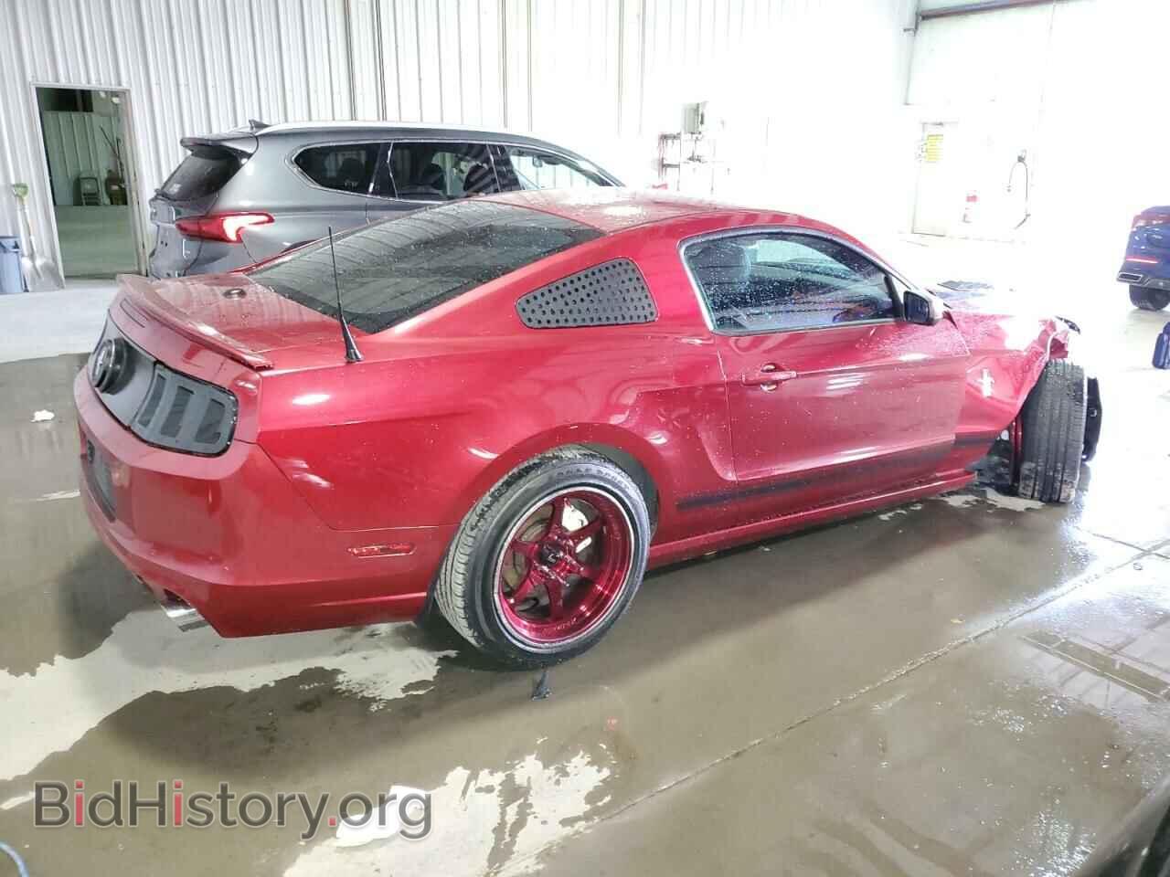 2013 FORD MUSTANG - VIN: 1ZVBP8AM4D5207453 - Фото 3