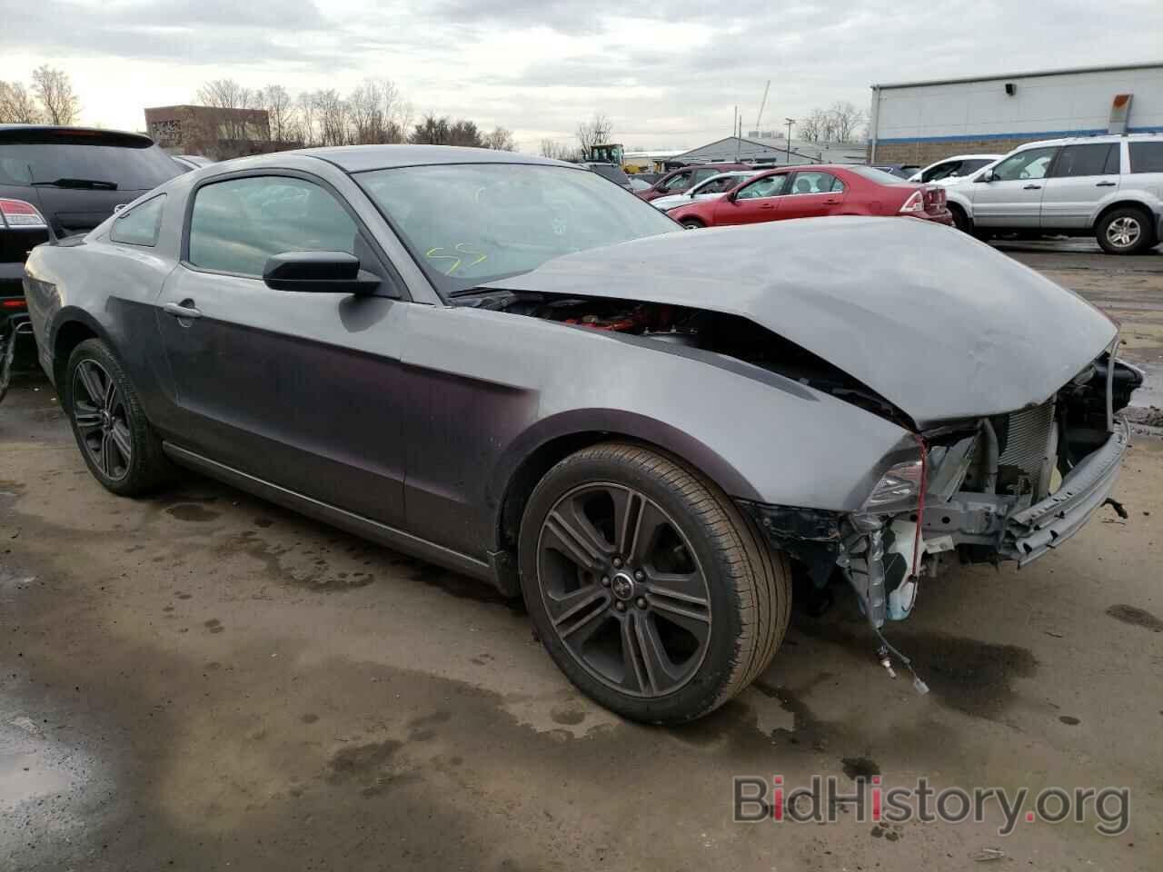 Photo 1ZVBP8AM0E5268722 - FORD MUSTANG 2014
