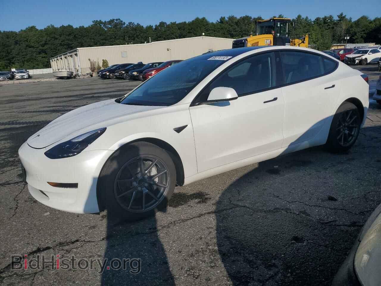 Photo 5YJ3E1EA2PF509959 - TESLA MODEL 3 2023