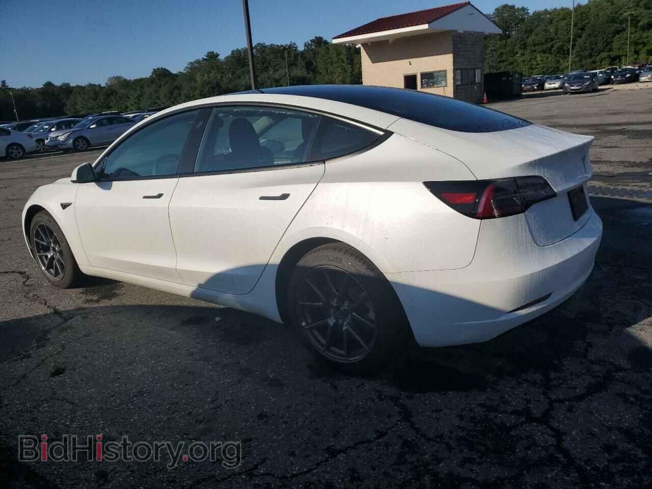 2023 TESLA MODEL 3 - VIN: 5YJ3E1EA2PF509959 - Фото 2
