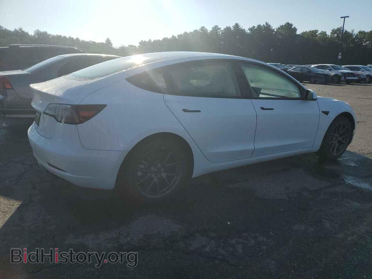 2023 TESLA MODEL 3 - VIN: 5YJ3E1EA2PF509959 - Фото 3