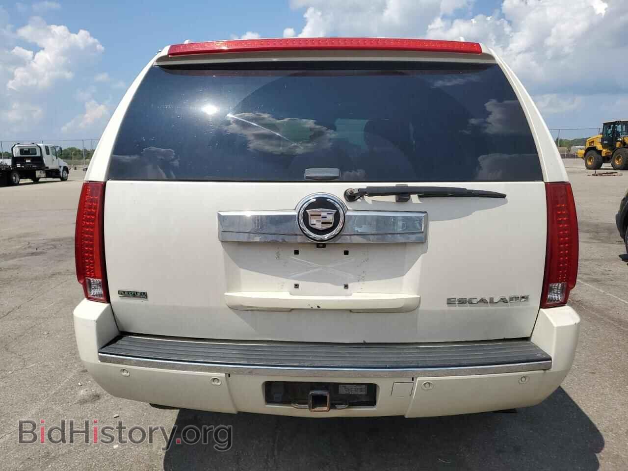 2010 CADILLAC ESCALADE - VIN: 1GYUKAEF8AR169401 - Фото 6