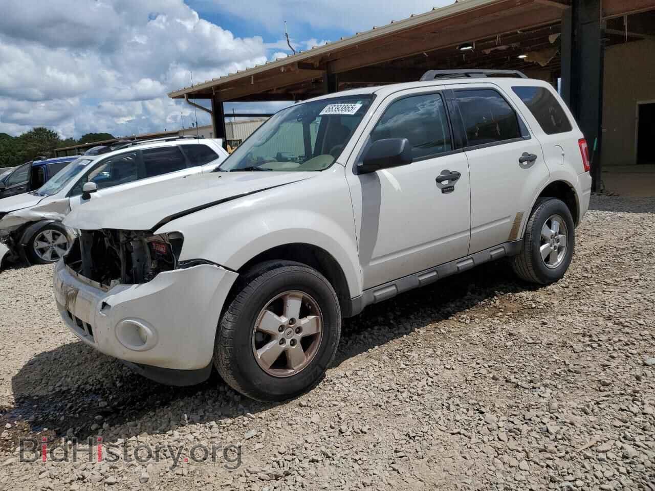 Photo 1FMCU03G49KB71261 - FORD ESCAPE 2009