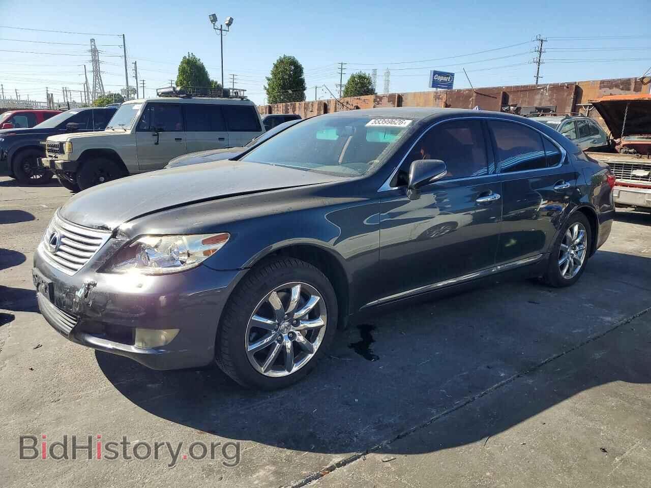 Фотография JTHBL5EF2A5096887 - LEXUS LS460 2010