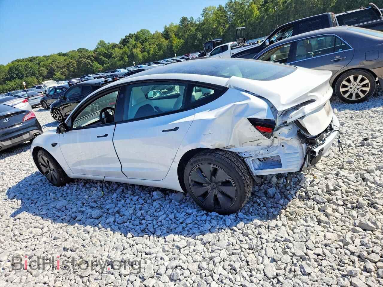 2024 TESLA MODEL 3 - VIN: 5YJ3E1EA3RF867400 - Photo 2