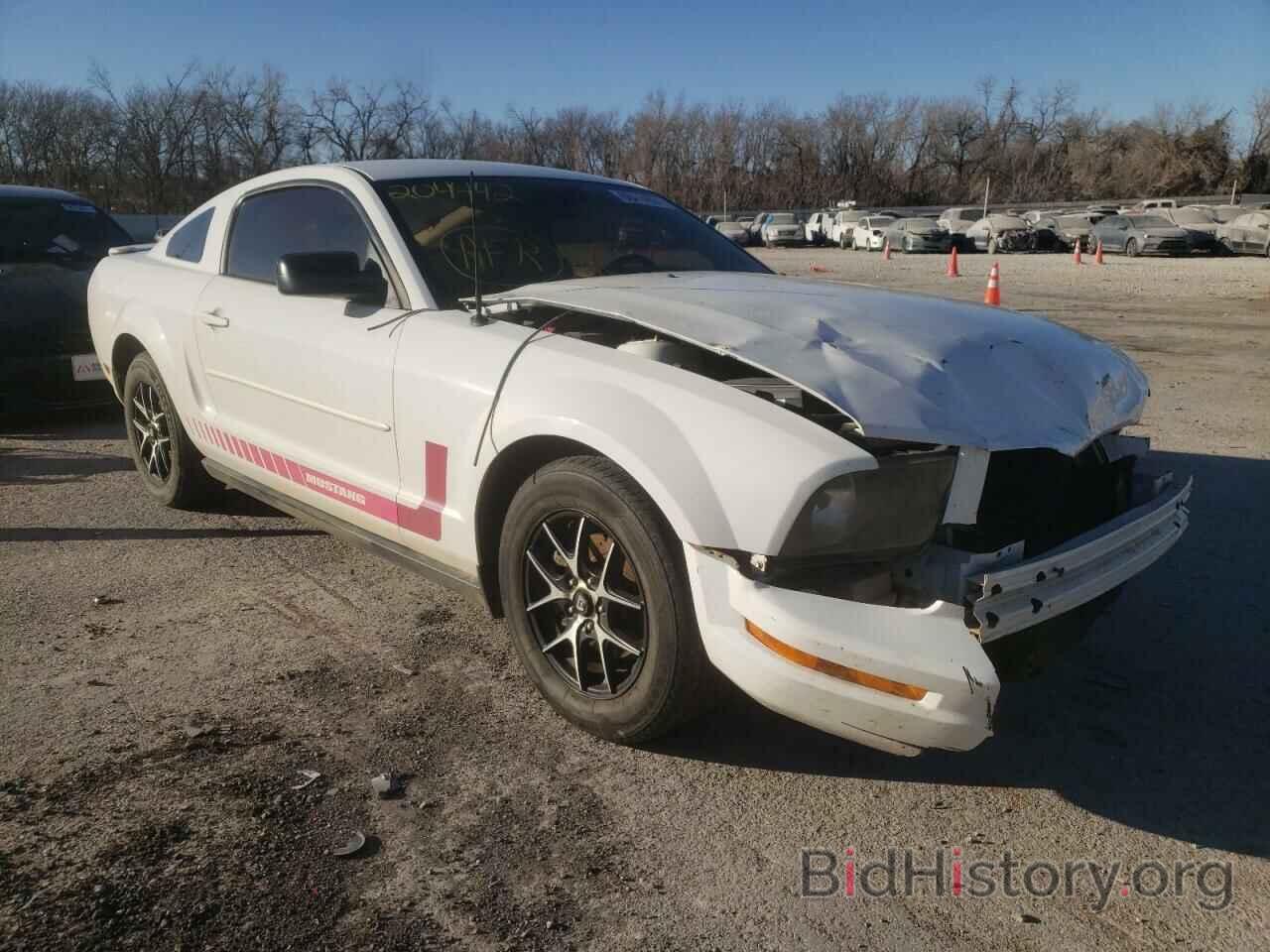 Photo 1ZVHT80N985204442 - FORD MUSTANG 2008