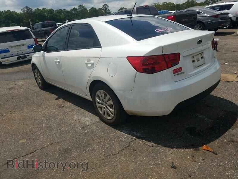 2011 KIA FORTE - VIN: KNAFU4A24B5892097 - Фото 3