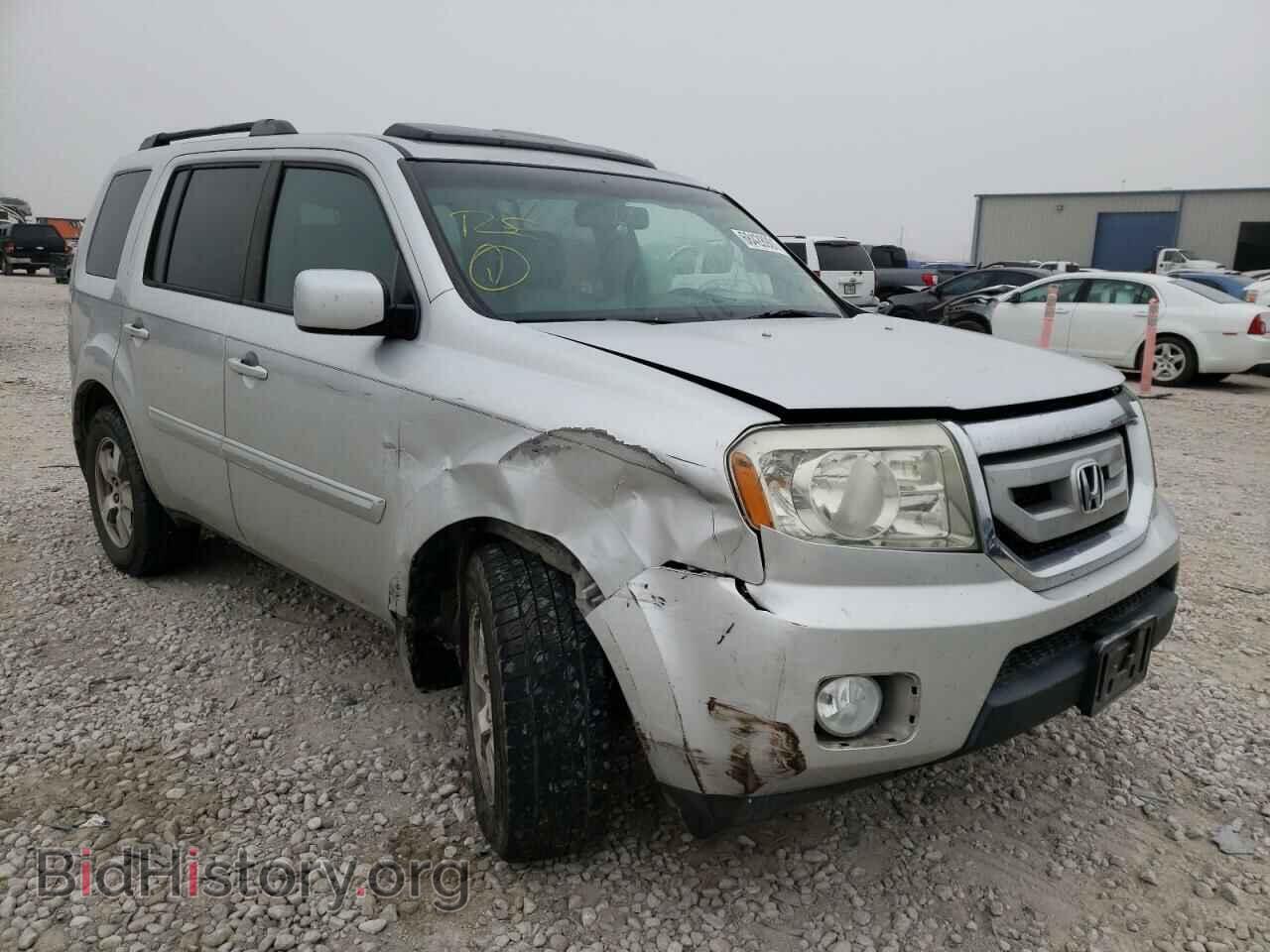 Фотография 5FNYF38569B013059 - HONDA PILOT 2009