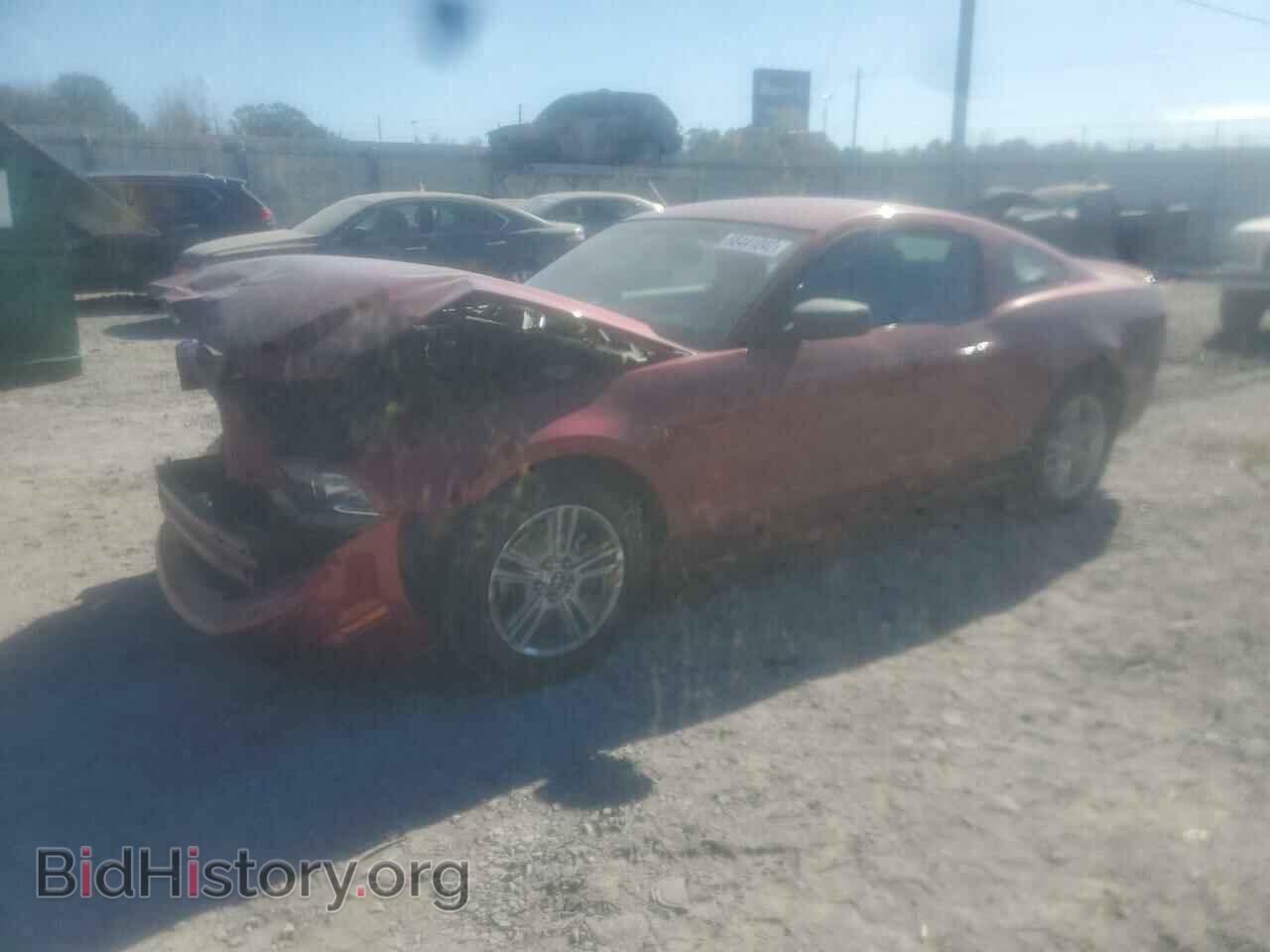 Photo 1ZVBP8AMXE5223707 - FORD MUSTANG 2014