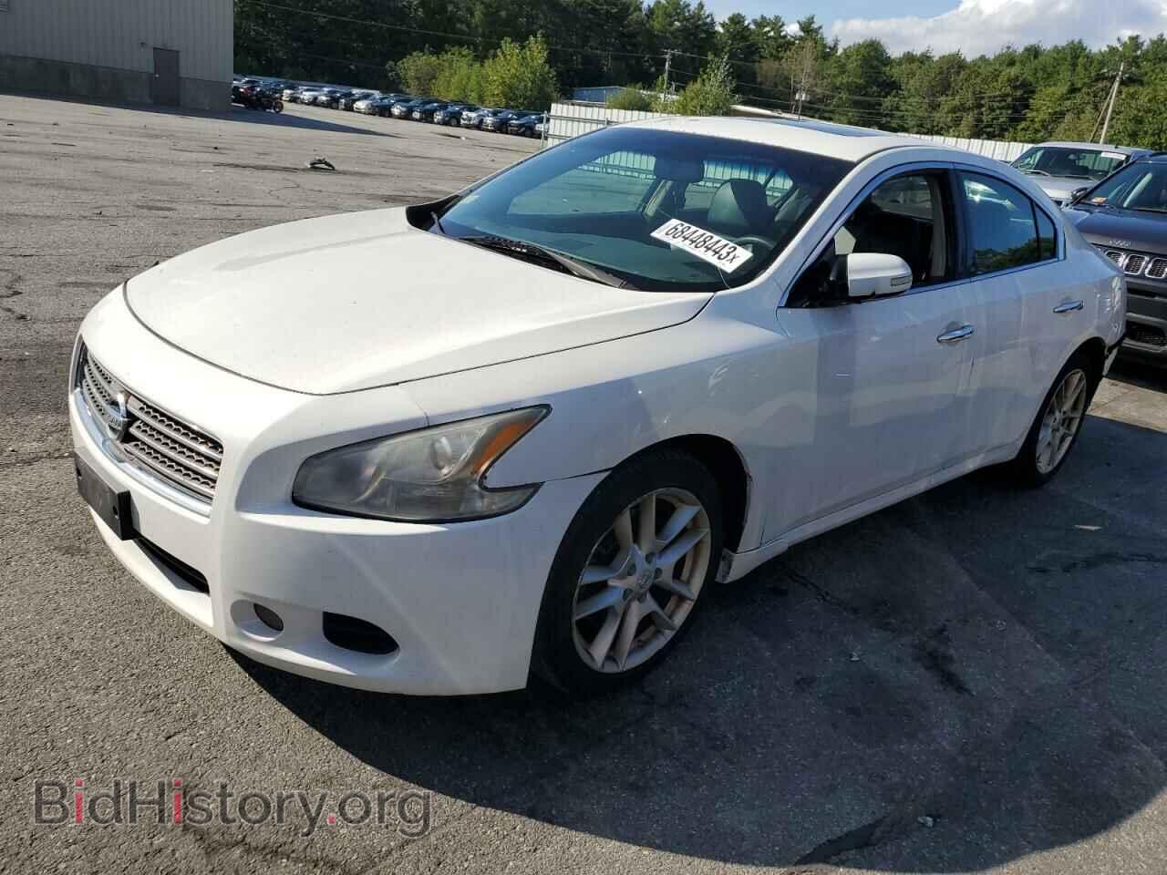 Photo 1N4AA51E49C838641 - NISSAN MAXIMA 2009