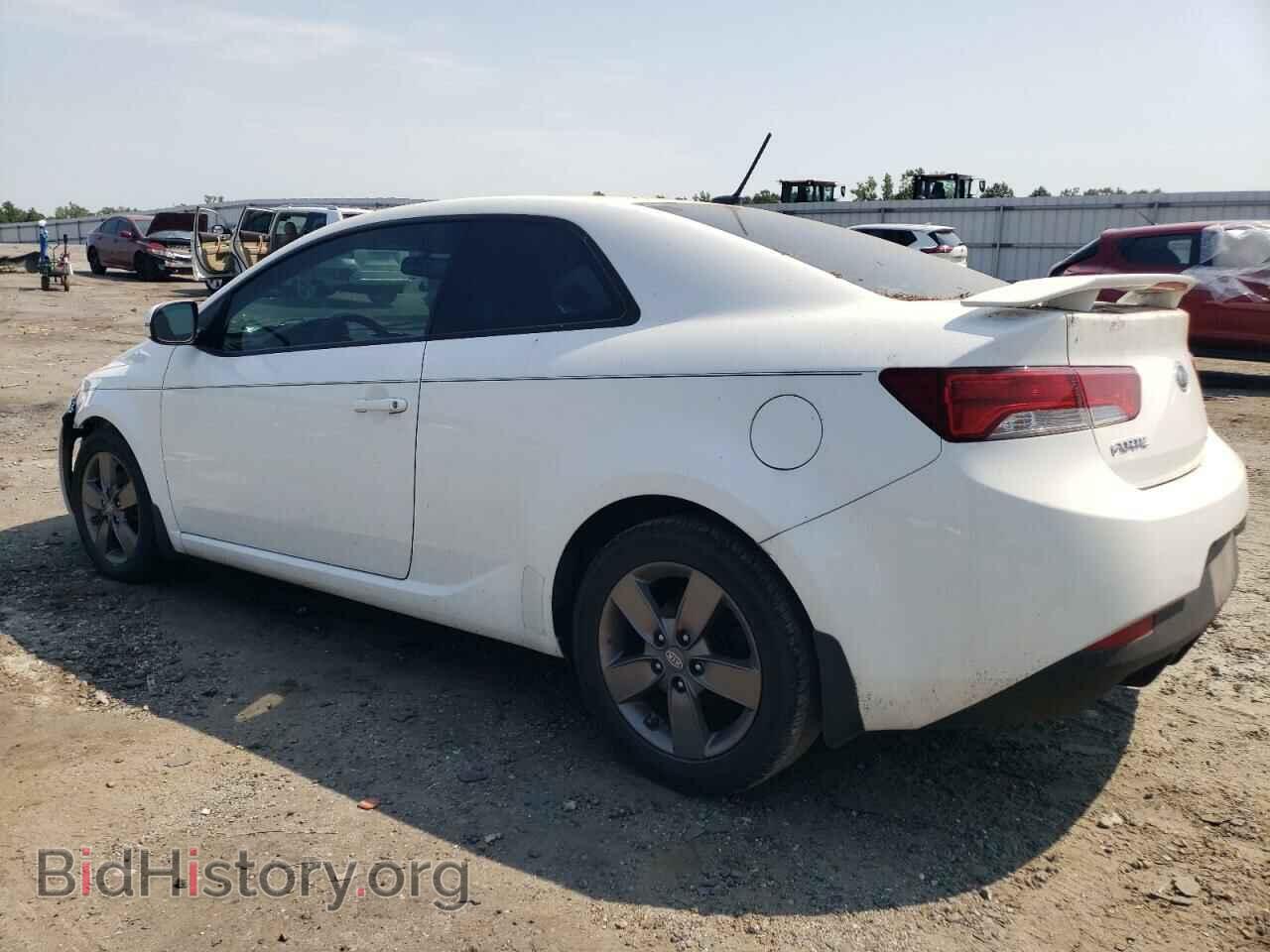2012 KIA FORTE - VIN: KNAFU6A21C5561748 - Фото 2